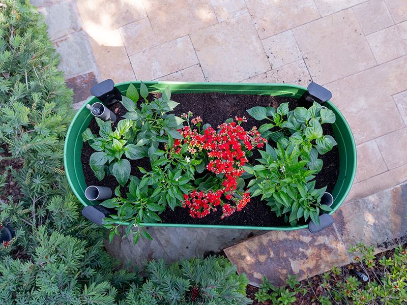 Permasteel Elevated Garden Bed | Olive Green-Garden Furniture Centre-MidInstock,instock,MidRange,Accessories,Garden Planters,Mother's Day-{collection_title}