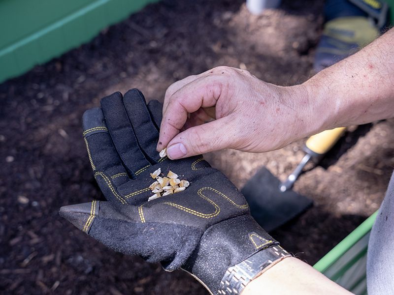 Permasteel Elevated Garden Bed | Olive Green-Garden Furniture Centre-MidInstock,instock,MidRange,Accessories,Garden Planters,Mother's Day-{collection_title}
