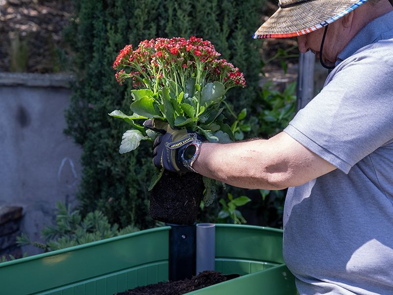 Permasteel Elevated Garden Bed | Olive Green