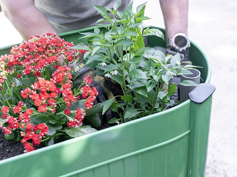 Permasteel Elevated Garden Bed | Olive Green-Garden Furniture Centre-MidInstock,instock,MidRange,Accessories,Garden Planters,Mother's Day-{collection_title}