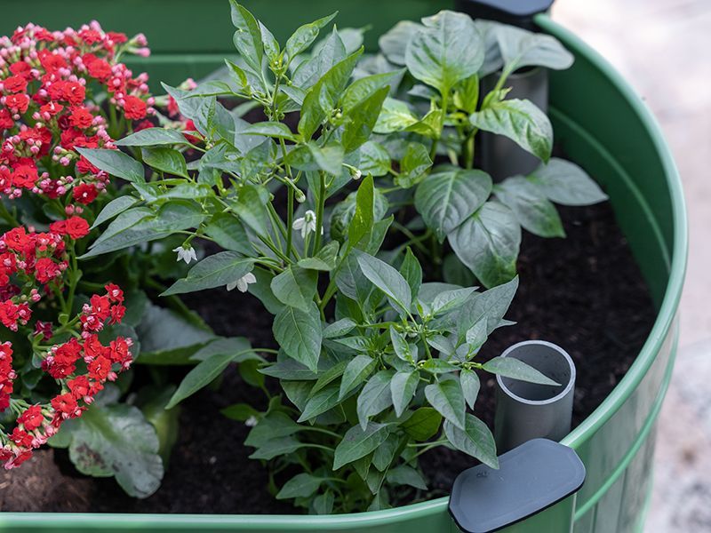 Permasteel Elevated Garden Bed | Olive Green-Garden Furniture Centre-MidInstock,instock,MidRange,Accessories,Garden Planters,Mother's Day-{collection_title}