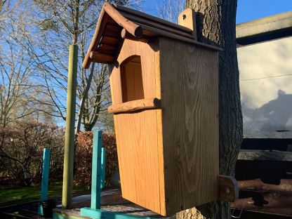 Rustic Oak Owl Box