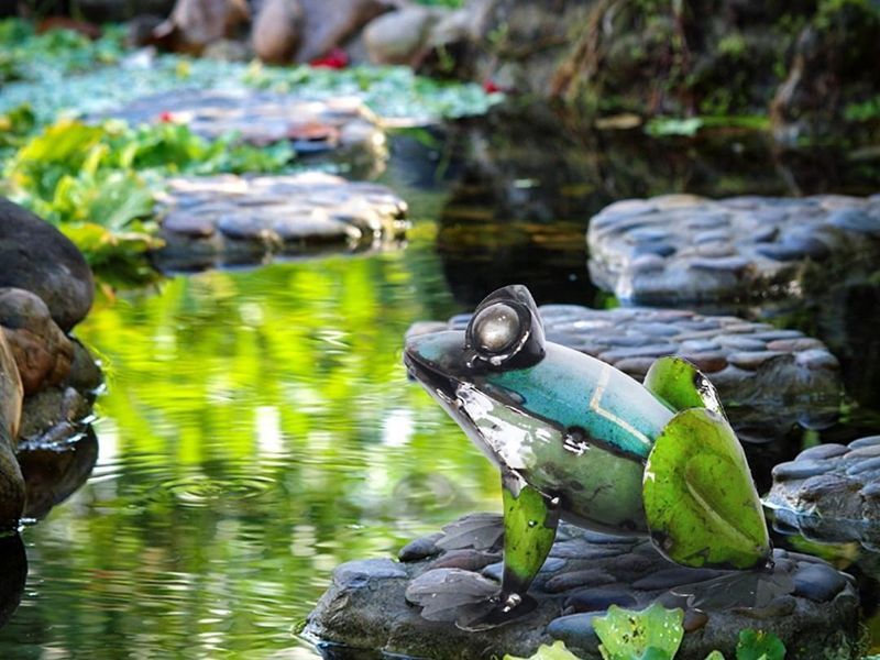 Pad Me Pond Frog Large -Garden Furniture Centre-48Hour Dispatch,LowRange,Under 100,Ornaments,Ranges,Animal Garden Ornaments,Think Outside Range,Metal Garden Ornaments,Think Outside Range Ranges,Gifts,Ornaments Accessories,Accessories-{collection_title}