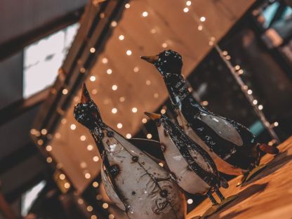 Penguin Peek Up Family 