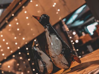 Penguin Peek Up Family 
