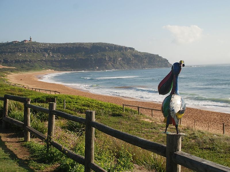 Pete The Pelican Drinks Tub 
