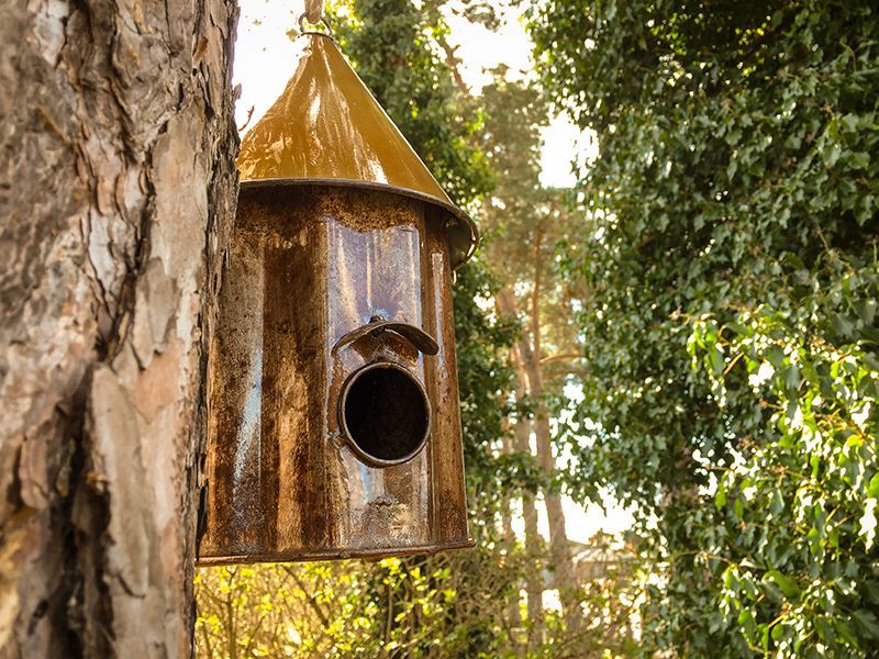 Bird Shanty-Garden Furniture Centre-Birdhouses & Bird Boxes,48Hour Dispatch,LowRange,Under 100,Information,Amazon Trade Account,Ornaments Accessories,Ornaments,Ranges,Think Outside Range,Metal Garden Ornaments,Hanging Garden Ornaments,Think Outside Range Ranges,Gifts,Pets & Wildlife Accessories,Accessories,Pets & Wildlife-{collection_title}