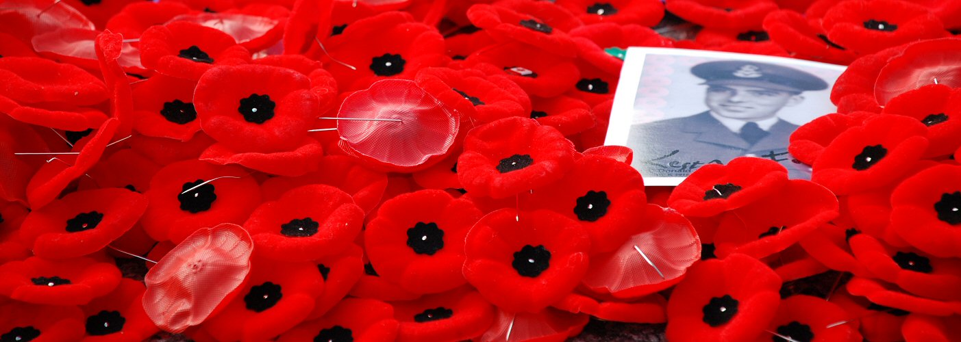 The poppy which marks rememberance day for those who lost their lives in ww1