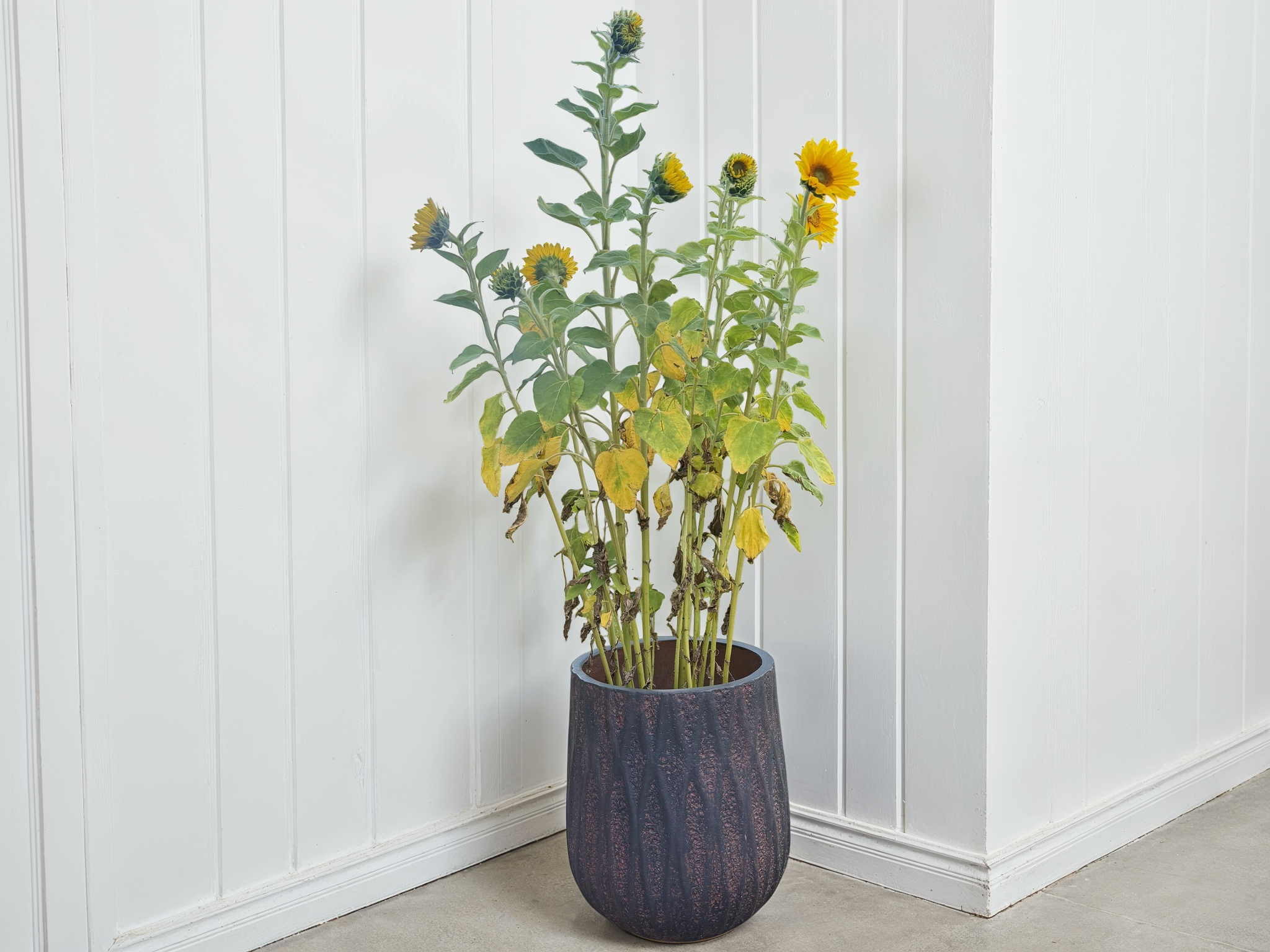 Chatou Decorative Plant Pot-Garden Furniture Centre-LowRange,Under 100,Garden Planters,Garden Plants,Mother's Day-{collection_title}