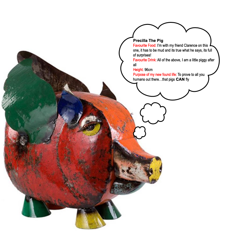 Precilla the pig - The Garden Furniture centre 