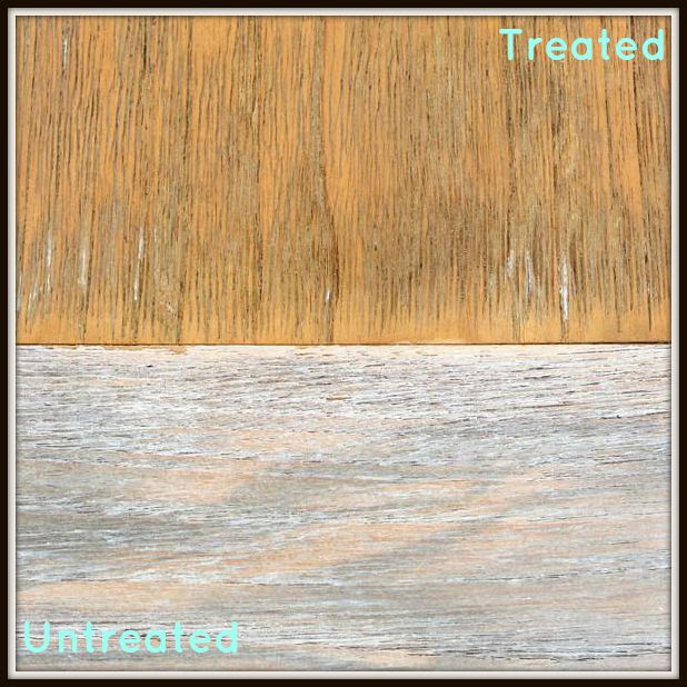 teak protector demo