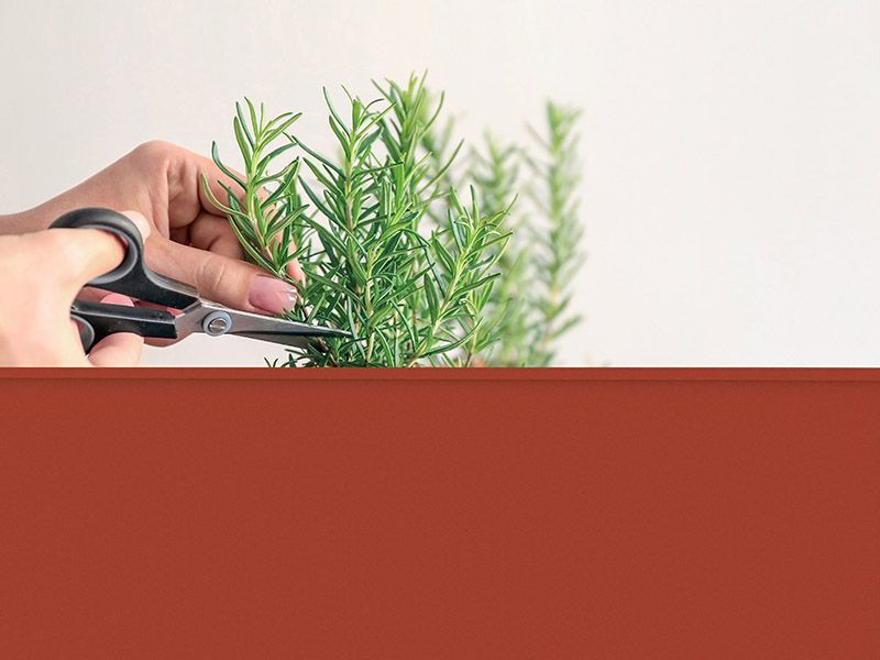 Urban Garden Trolley | Red-Garden Furniture Centre-LowRange,Showroom exdis,Accessories,Garden Planters,Garden Plants,Accessories Gazebos,Urban Garden Trolley,Mother's Day,48Hour Dispatch-{collection_title}