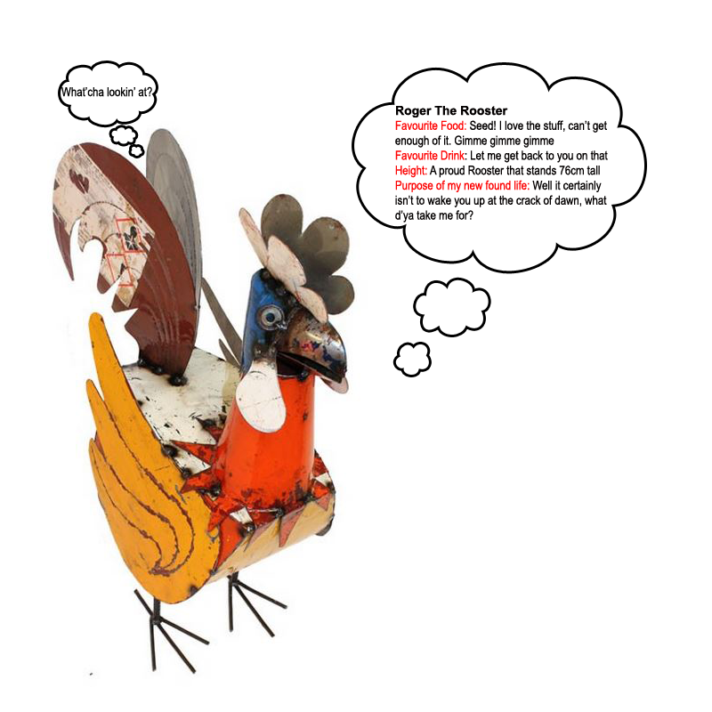 roger- rooster 