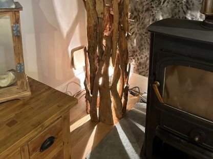 Root Floor Spotlight