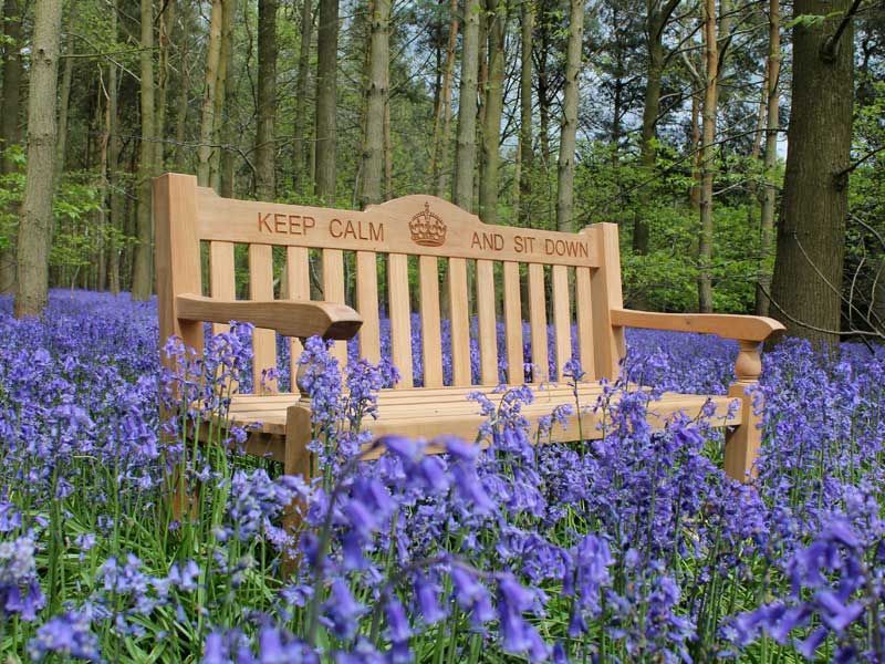 Teak Windsor Bench 