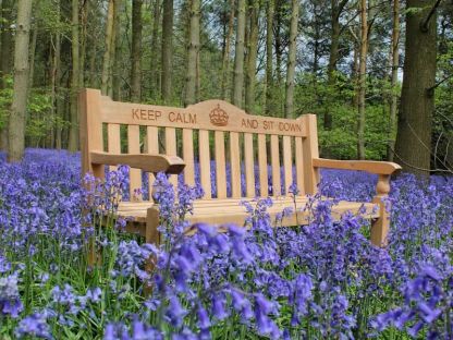 Teak Windsor Bench 