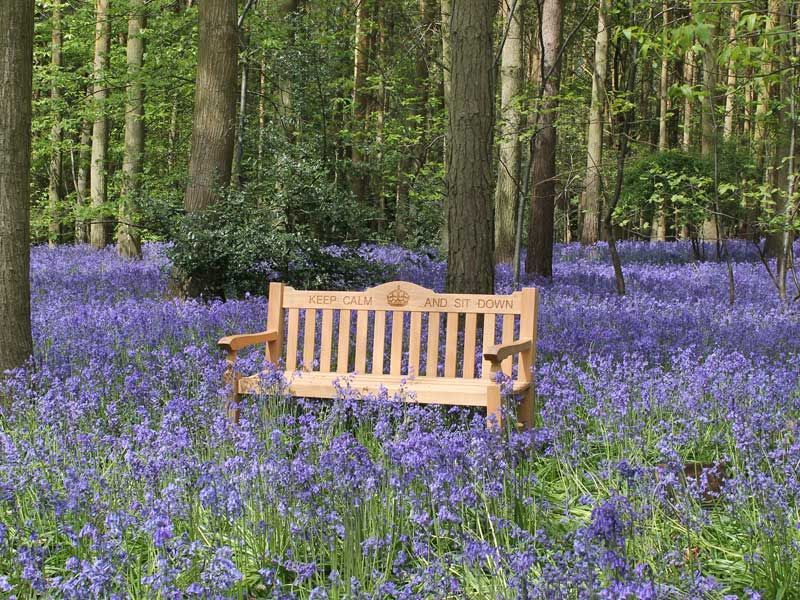 Teak Windsor Bench 
