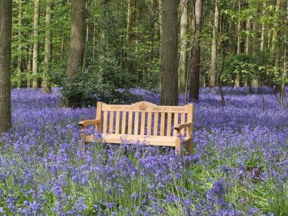 Teak Windsor Bench 