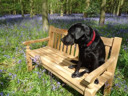 Teak Windsor Bench 