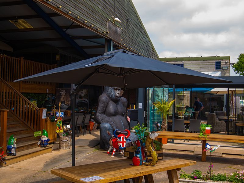 Royce Junior 2.5M SQ Cantilever Parasol | Norfolk Leisure
