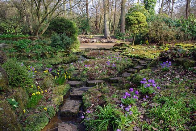 Sandstone Rock Garden - Winterbourne