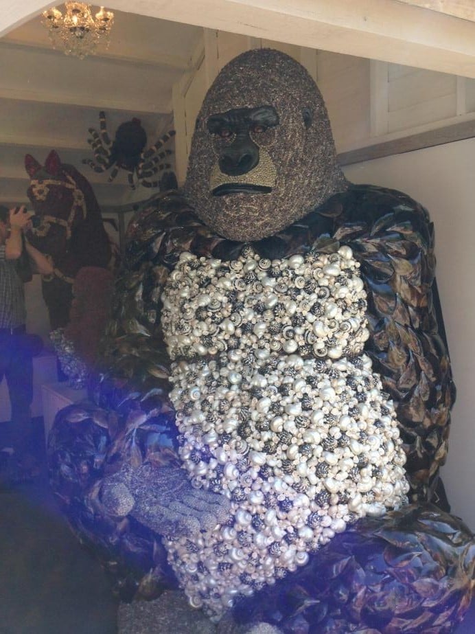 sea-shell-gorilla