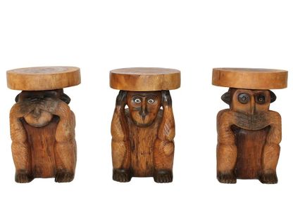 Monkey No Evil | Set Of Three 