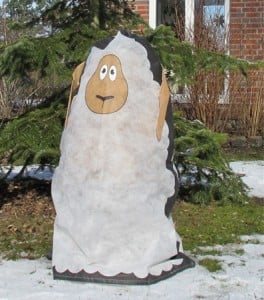 sheep fleece