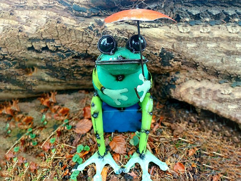 Sitting Frog With Umbrella 