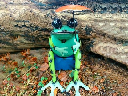 Sitting Frog With Umbrella 