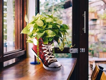 Cons Planter