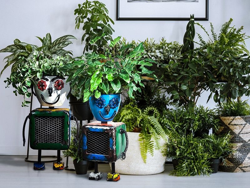 Planter Bot-Garden Furniture Centre-LowRange,Metal,Ornaments Accessories,Garden Planters,Think Outside Range Ranges,48Hour Dispatch-{collection_title}