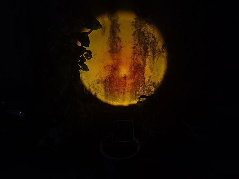 Sunset Solar Garden Light 