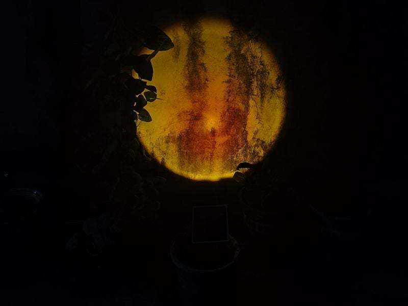 Sunset Solar Garden Light 
