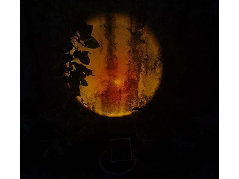 Sunset Solar Garden Light -Garden Furniture Centre-48Hour Dispatch,LowRange,Under 100,Accessories,LED Solar Lights,Solar Lights  Solar,Solar Lights-{collection_title}