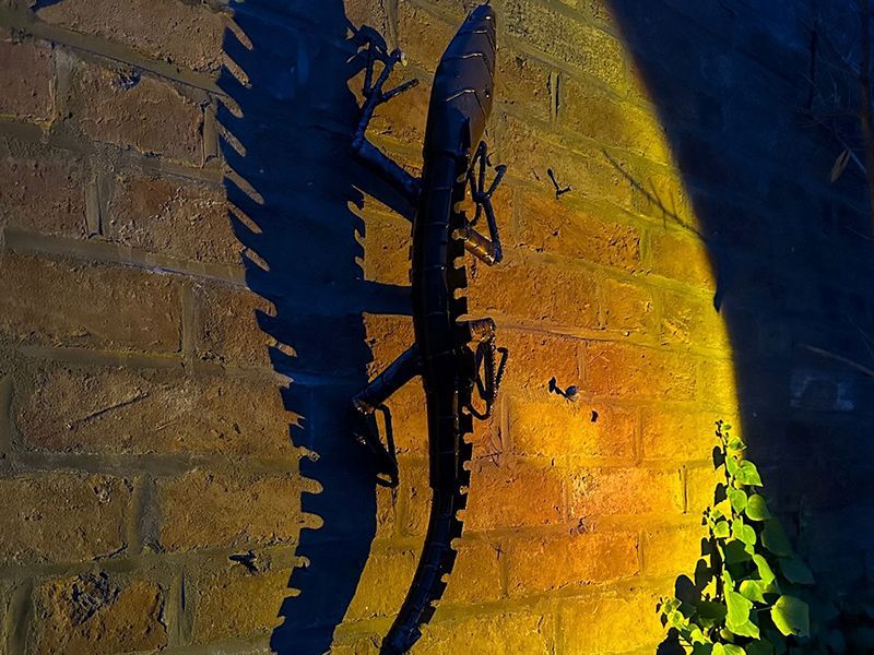 Monitor Lizard-Garden Furniture Centre-48Hour Dispatch,LowRange,Under 100,Ornaments,Ranges,Animal Garden Ornaments,Think Outside Range,Metal Garden Ornaments,Hanging Garden Ornaments,Think Outside Range Ranges,Gifts,Ornaments Accessories,Accessories-{collection_title}