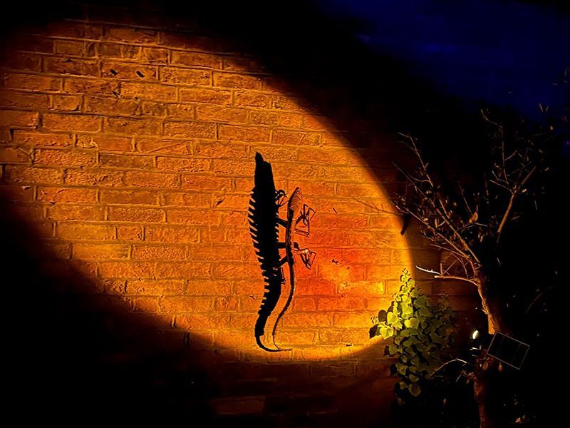 Monitor Lizard-Garden Furniture Centre-48Hour Dispatch,LowRange,Under 100,Ornaments,Ranges,Animal Garden Ornaments,Think Outside Range,Metal Garden Ornaments,Hanging Garden Ornaments,Think Outside Range Ranges,Gifts,Ornaments Accessories,Accessories-{collection_title}