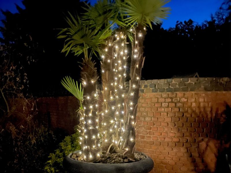 Solar LED Wire Fairy Lights