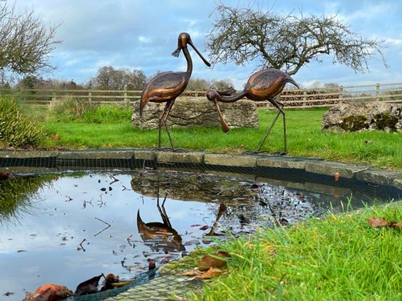 Spoonbill Standing-Garden Furniture Centre-48Hour Dispatch,LowRange,Ornaments,Ranges,Animal Garden Ornaments,Think Outside Range,Metal Garden Ornaments,Think Outside Range Ranges,Gifts,Ornaments Accessories,Accessories-{collection_title}
