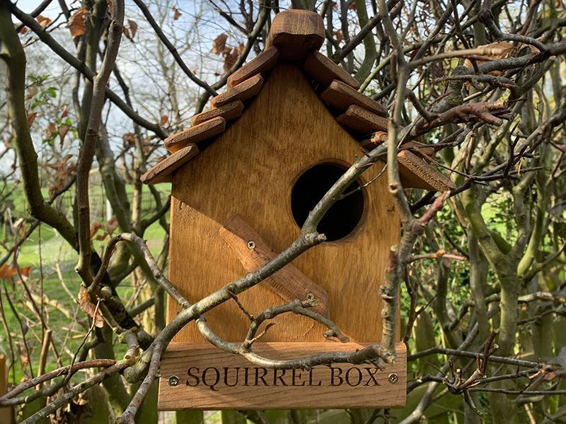 Rustic Oak Squirrel Box