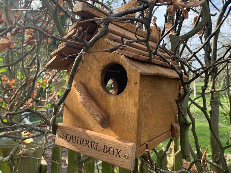 Rustic Oak Squirrel Box