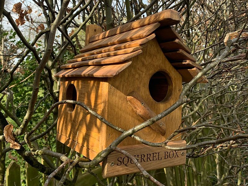 Rustic Oak Squirrel Box