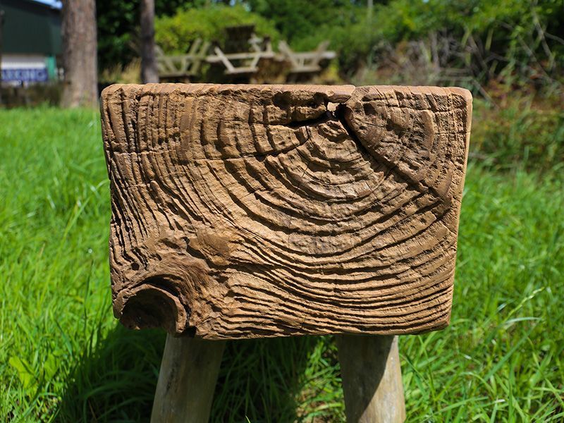 Teak Rustic Stool -Garden Furniture Centre-Root,Conservatory,Reclaimed Furniture,Indoor Accessories-{collection_title}