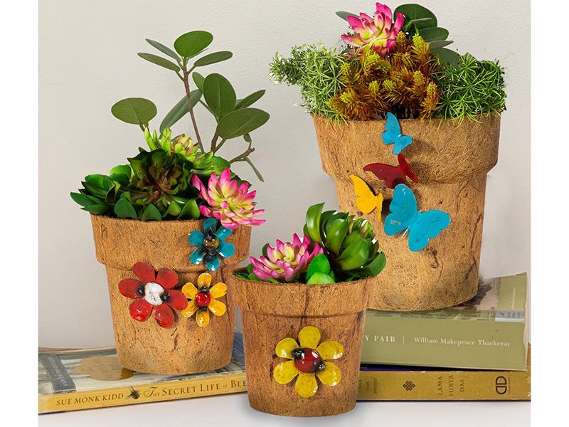 Cocopots Summer Of Love (Set Of Three)