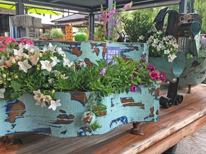 Suzy Planter