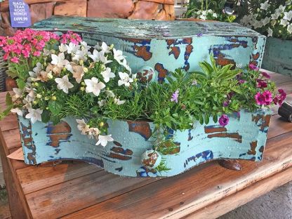 Suzy Planter
