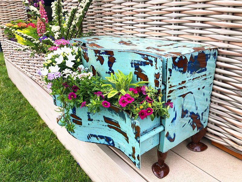 Suzy Planter