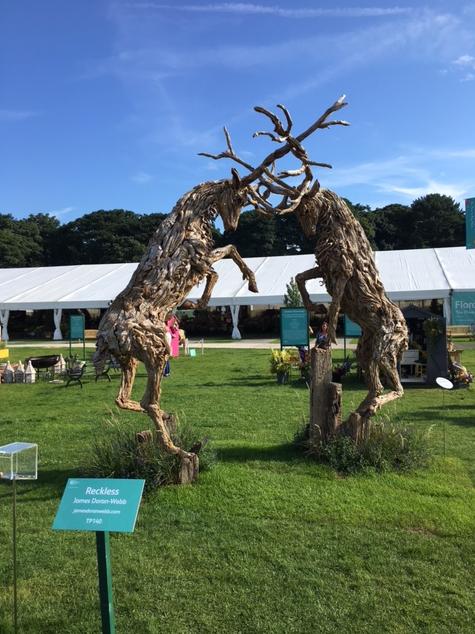 Stags fight it out at Tatton Park