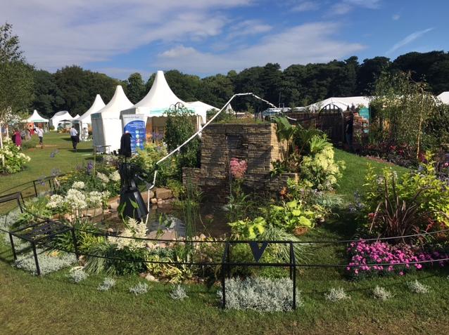 tatton-4