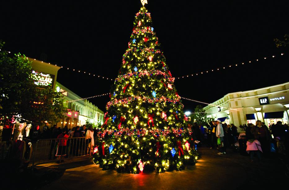 A festive Christmas Tree
